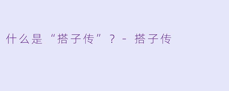 什么是“搭子传”？