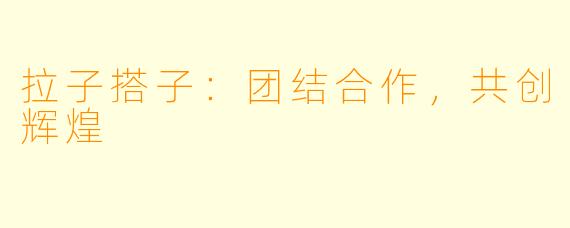 拉子搭子:团结合作,共创辉煌