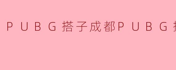 成都PUBG搭子都有哪些特点？