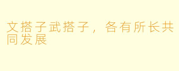 文搭子武搭子，各有所长共同发展