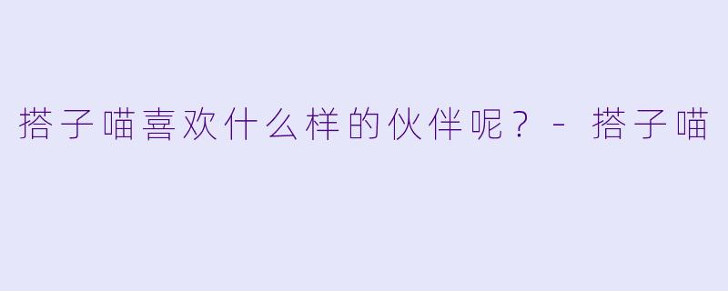 搭子喵喜欢什么样的伙伴呢？