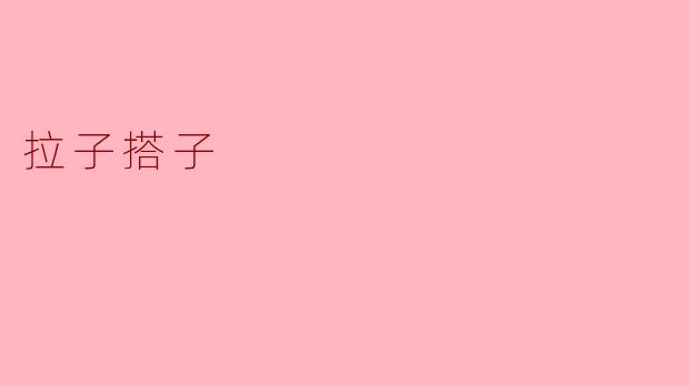 拉子搭子
