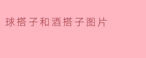 球搭子和酒搭子图片
