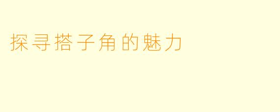 探寻搭子角的魅力
