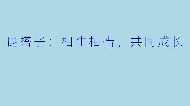 昆搭子：相生相惜，共同成长