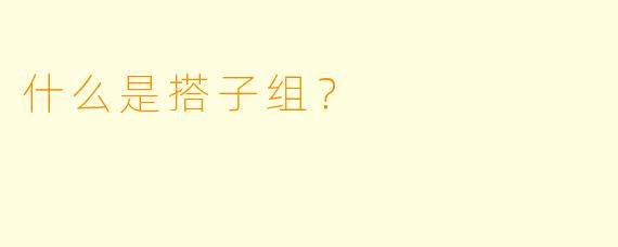 什么是搭子组？