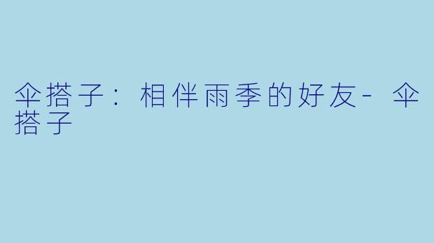 伞搭子：相伴雨季的好友-伞搭子