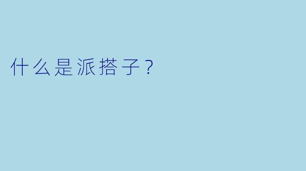什么是派搭子？