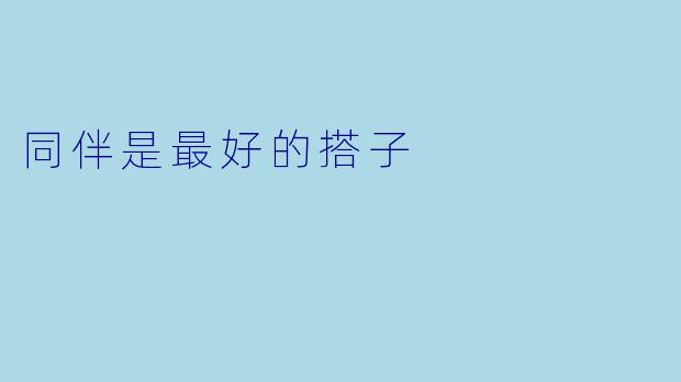 同伴是最好的搭子