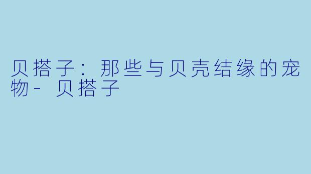 贝搭子：那些与贝壳结缘的宠物-贝搭子