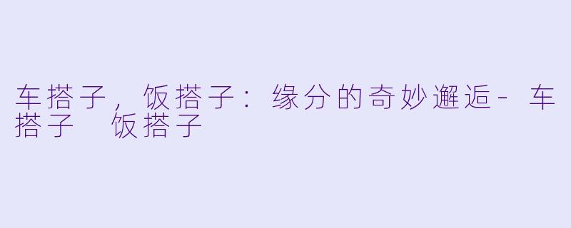 车搭子,饭搭子:缘分的奇妙邂逅