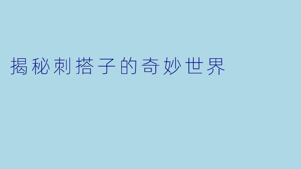 揭秘刺搭子的奇妙世界