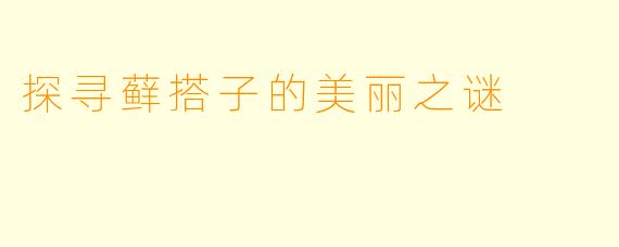 探寻藓搭子的美丽之谜
