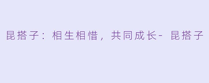 昆搭子：相生相惜，共同成长-昆搭子