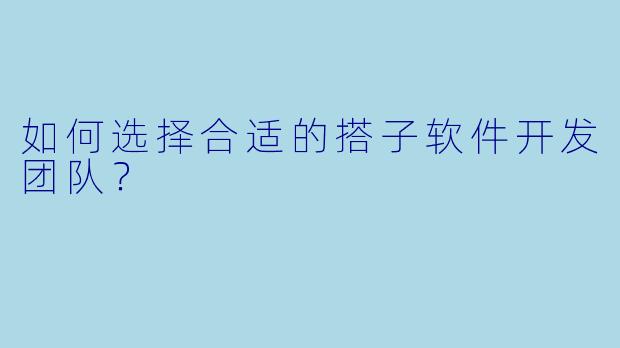 如何选择合适的搭子软件开发团队？
