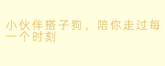 小伙伴搭子狗，陪你走过每一个时刻