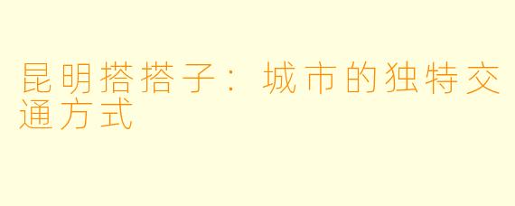 昆明搭搭子：城市的独特交通方式