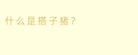 什么是搭子猪？