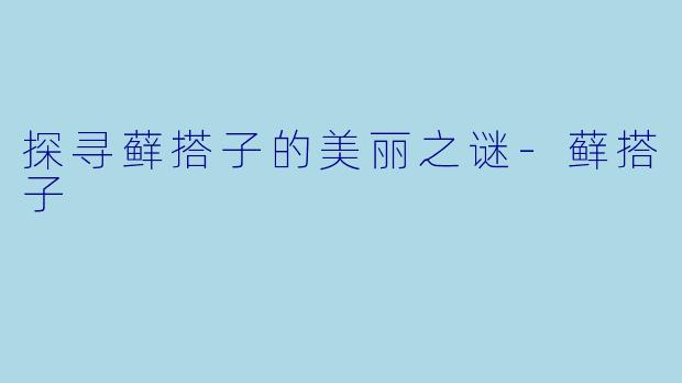 探寻藓搭子的美丽之谜-藓搭子
