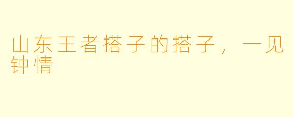 山东王者搭子的搭子,一见钟情