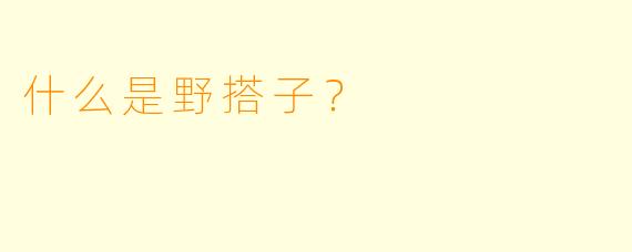 什么是野搭子？
