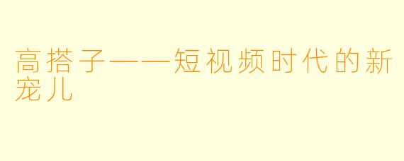 高搭子——短视频时代的新宠儿
