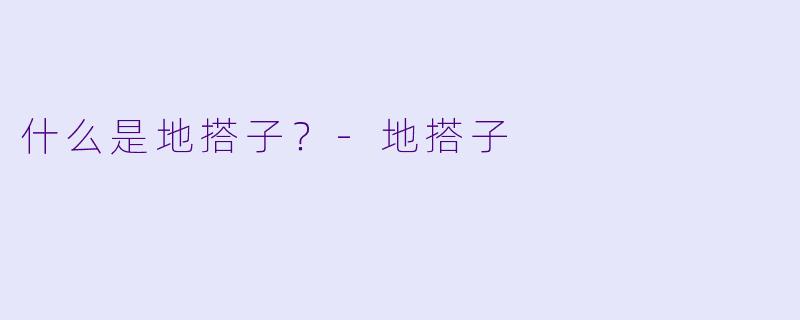 什么是地搭子？