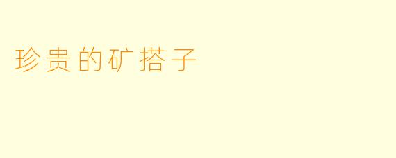 珍贵的矿搭子