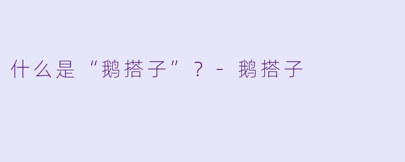 什么是“鹅搭子”？