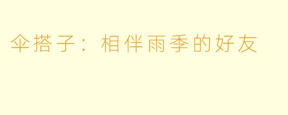 伞搭子：相伴雨季的好友