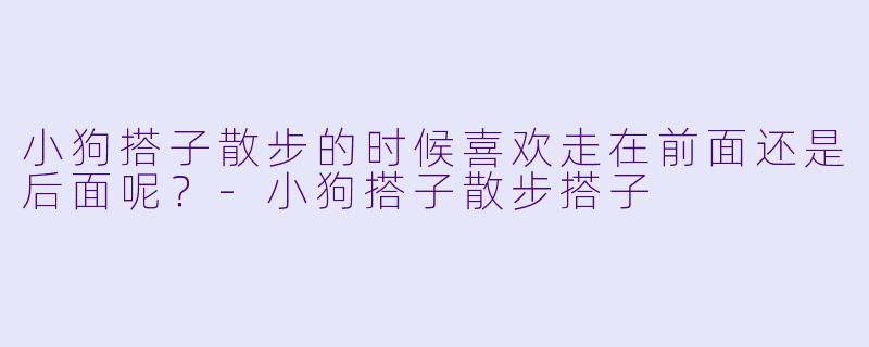 小狗搭子散步的时候喜欢走在前面还是后面呢？