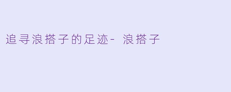 追寻浪搭子的足迹-浪搭子