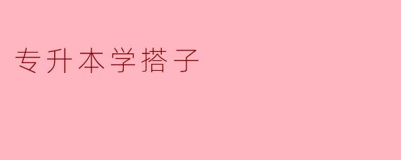 专升本学搭子