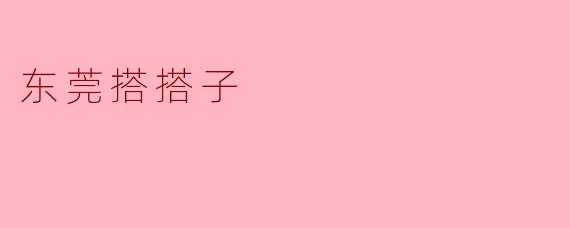 东莞搭搭子
