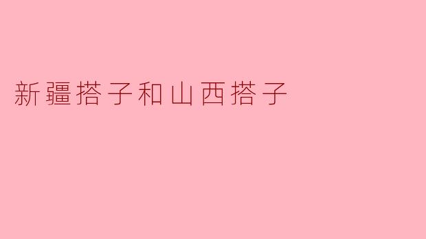 新疆搭子和山西搭子有什么区别？