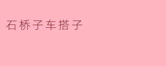 石桥子车搭子是什么意思？