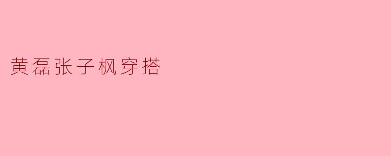 黄磊张子枫穿搭的时尚秘诀