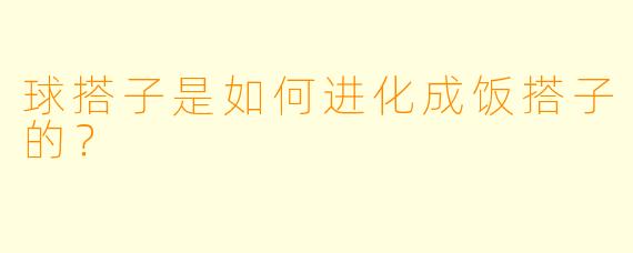 球搭子是如何进化成饭搭子的？