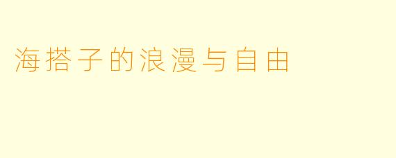 海搭子的浪漫与自由