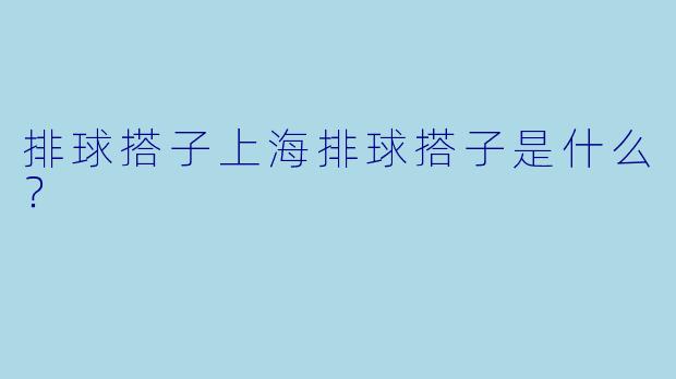 排球搭子上海排球搭子是什么？