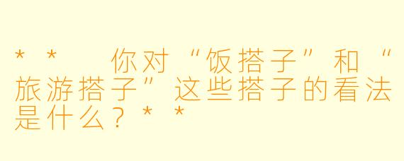 ** 你对“饭搭子”和“旅游搭子”这些搭子的看法是什么?**