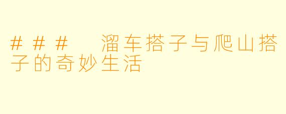 ### 溜车搭子与爬山搭子的奇妙生活
