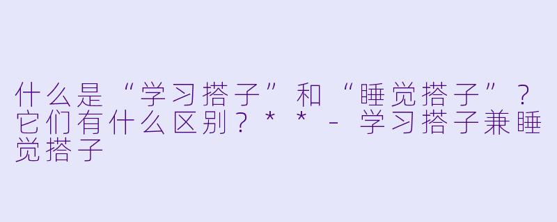 什么是“学习搭子”和“睡觉搭子”?它们有什么区别?**