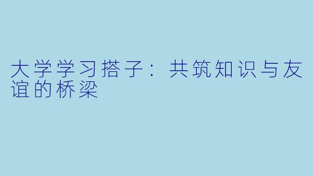 大学学习搭子：共筑知识与友谊的桥梁