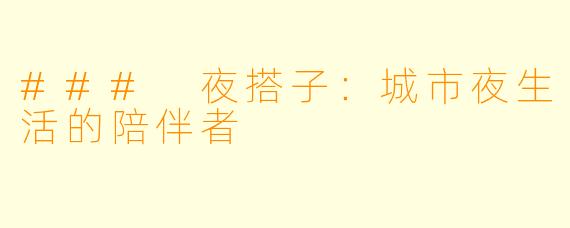 ### 夜搭子：城市夜生活的陪伴者