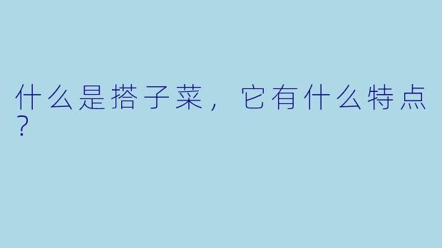 什么是搭子菜，它有什么特点？