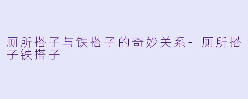 厕所搭子与铁搭子的奇妙关系-厕所搭子铁搭子