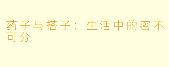 药子与搭子：生活中的密不可分