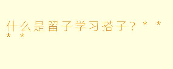 什么是留子学习搭子？****