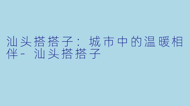 汕头搭搭子：城市中的温暖相伴-汕头搭搭子